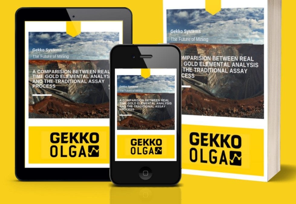 Free OLGA eBook available for download